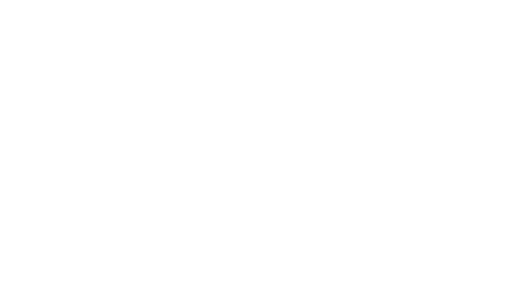 Decor-Llama-logo-vert-wht
